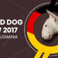 World Dog Show Leipzig (Alemania) - 2017
